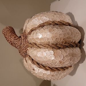Seashell pumpkin